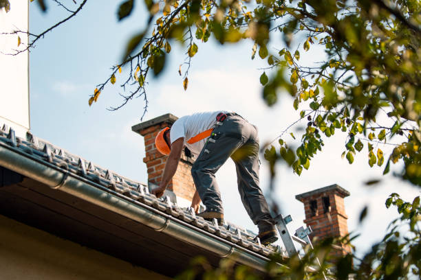 Residential Roof Replacement in White Knoll, SC